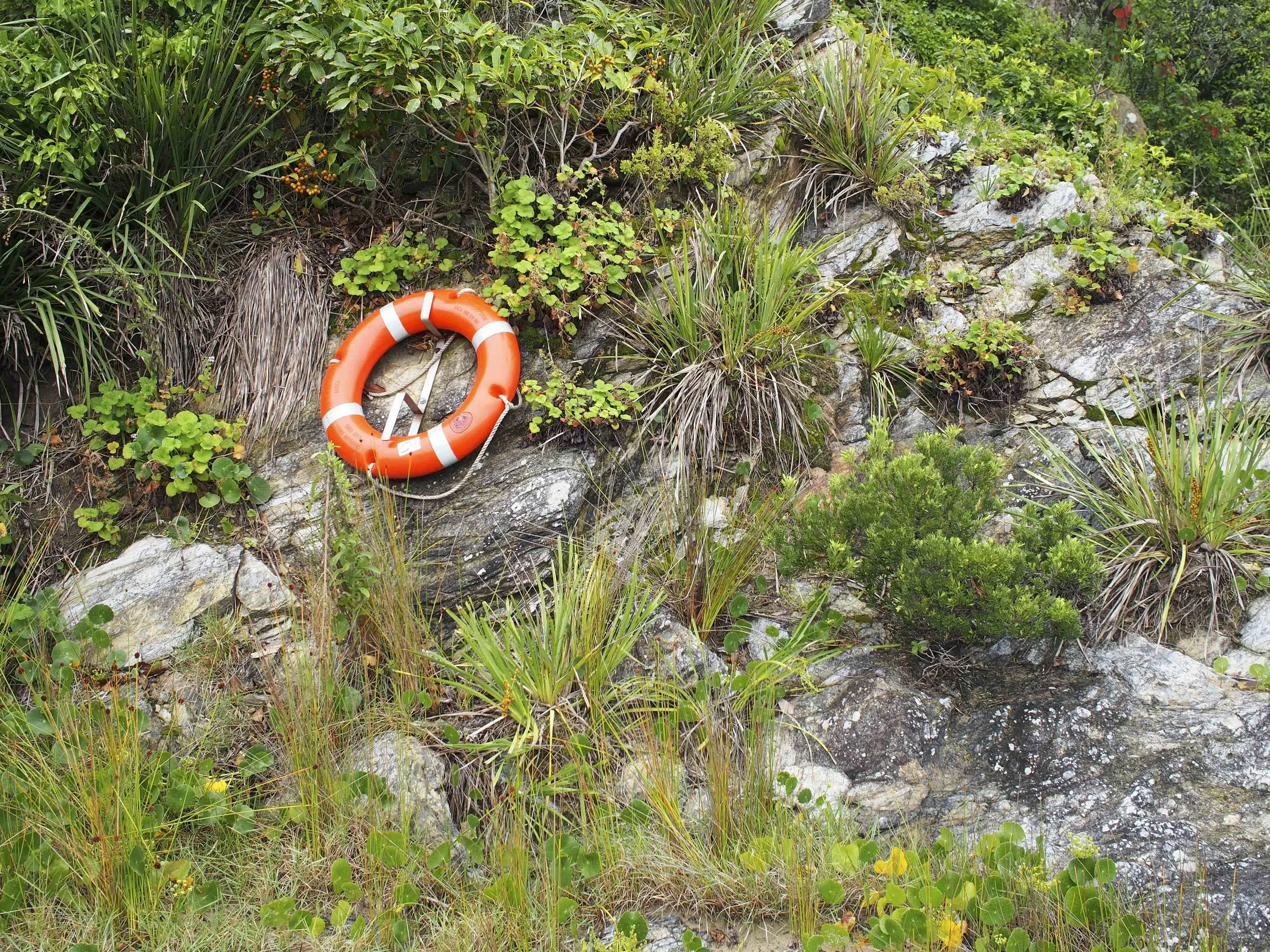 life bouy.jpg