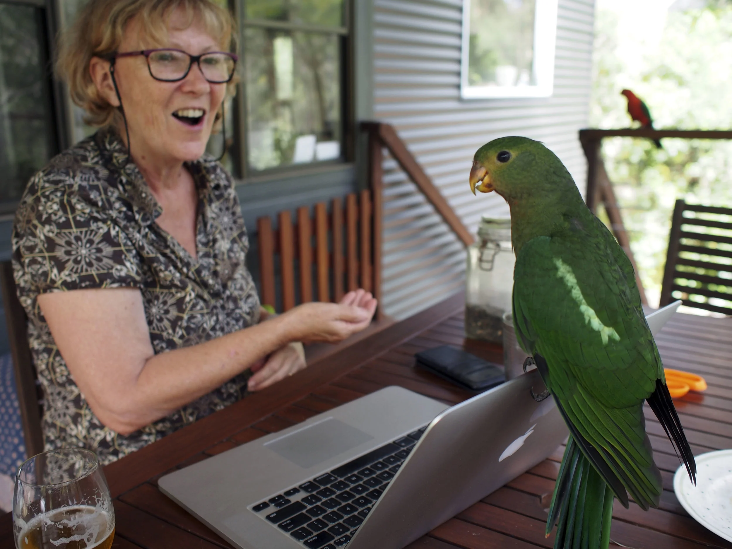 These birds….