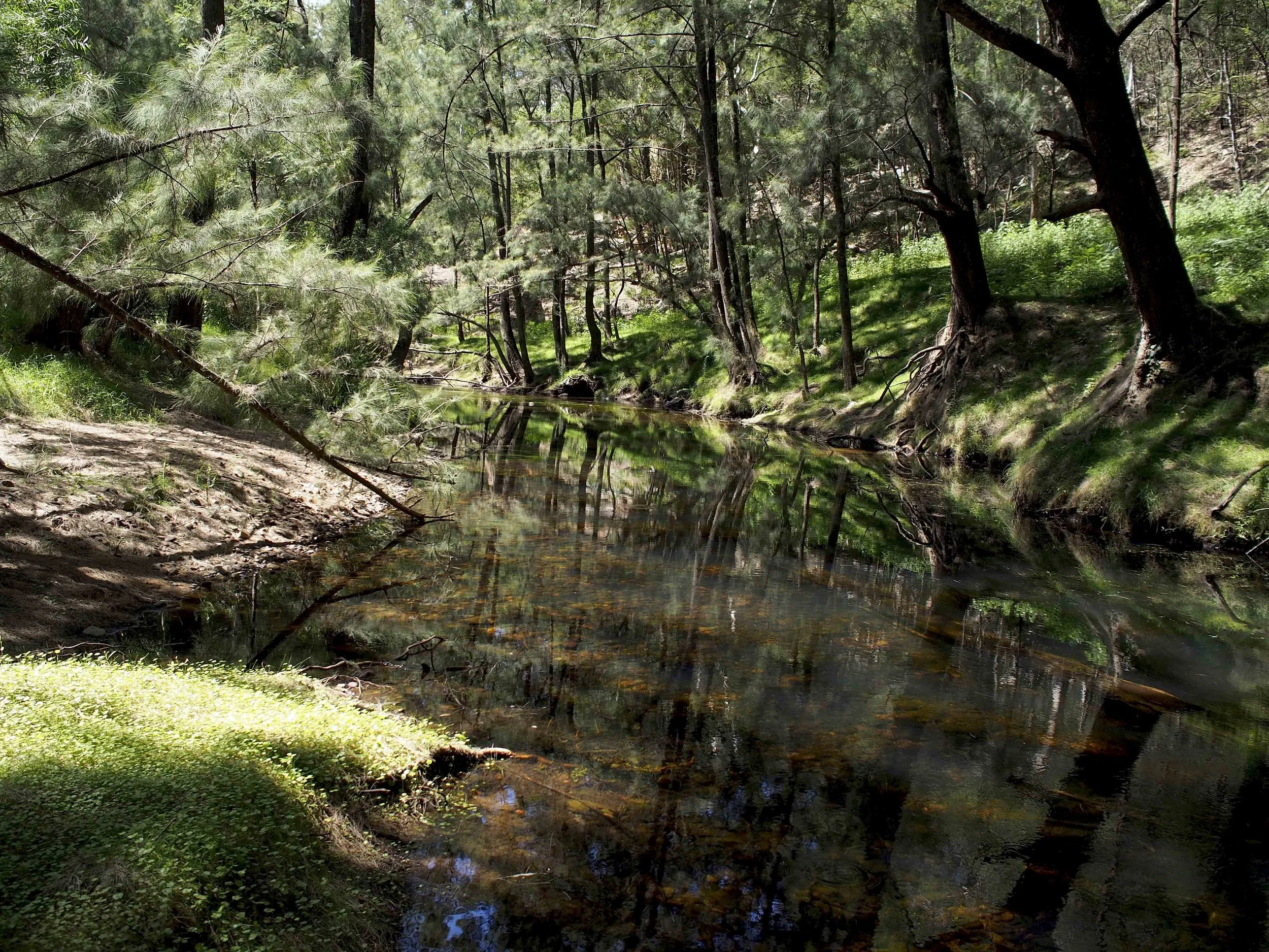 Deua River