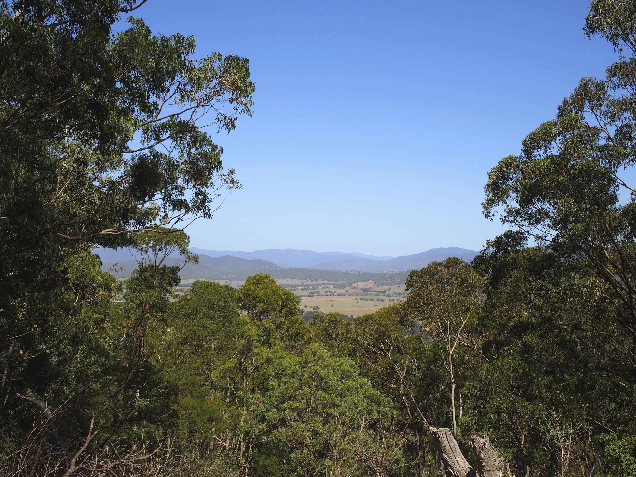 Bakers Flat from the range