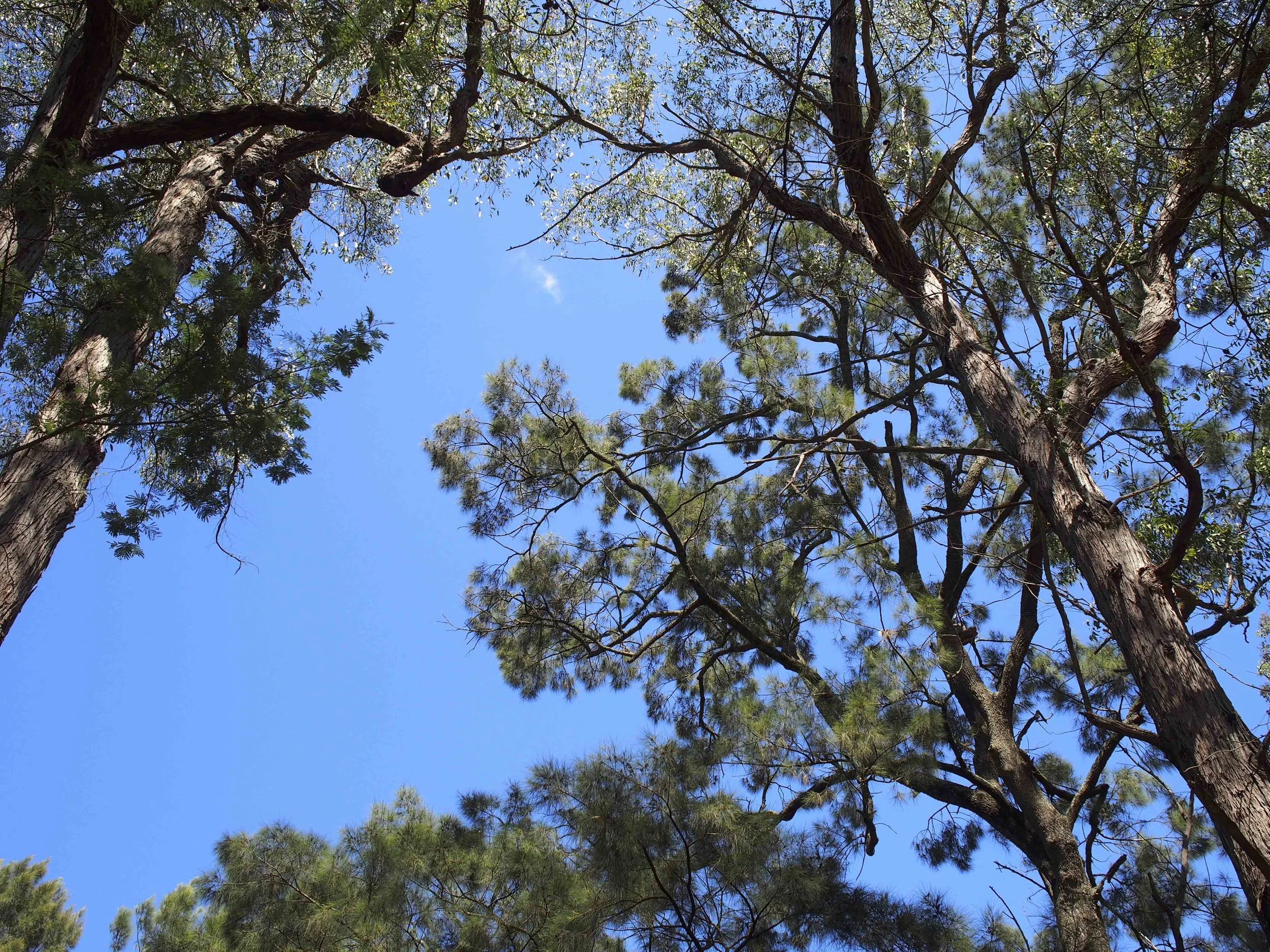 Deua National Park