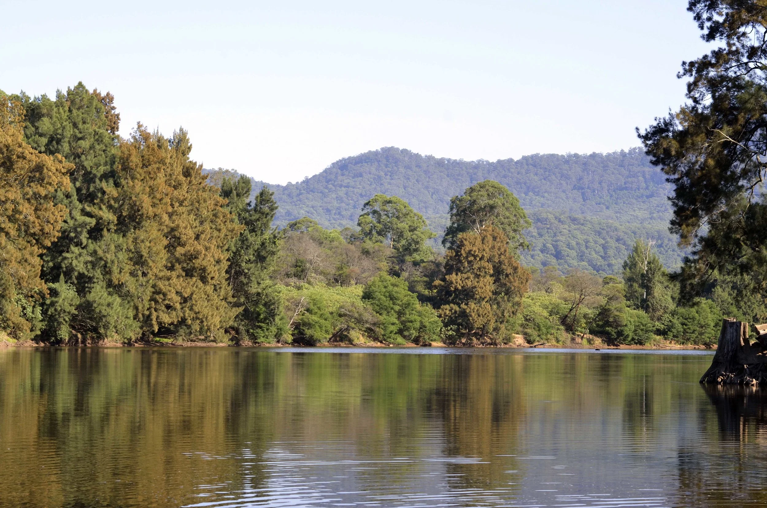 Down the Kangaroo river