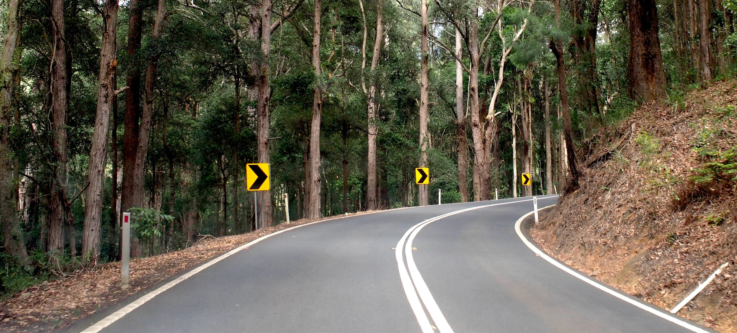 up the Macquarie Pass