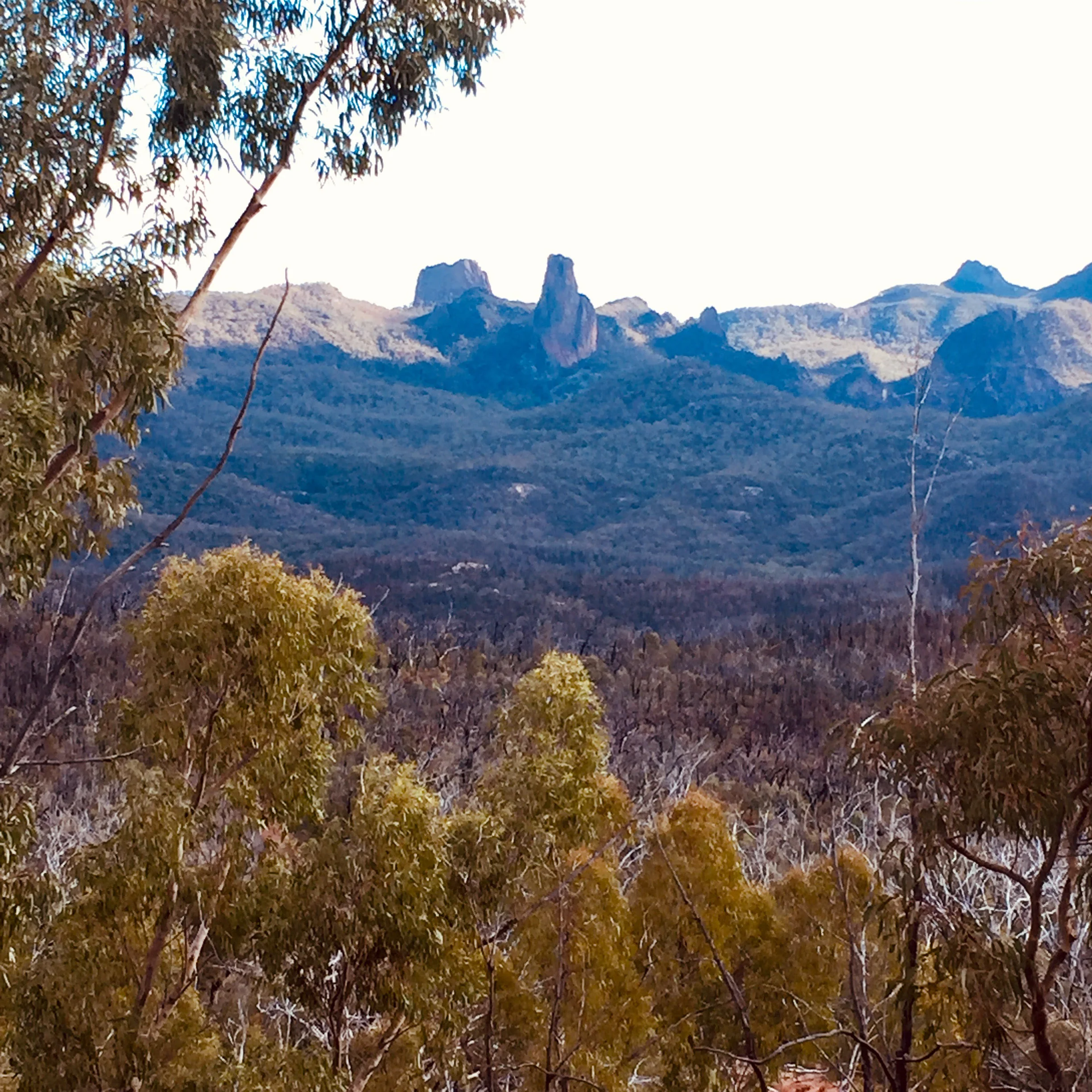 White Gum Lookout.