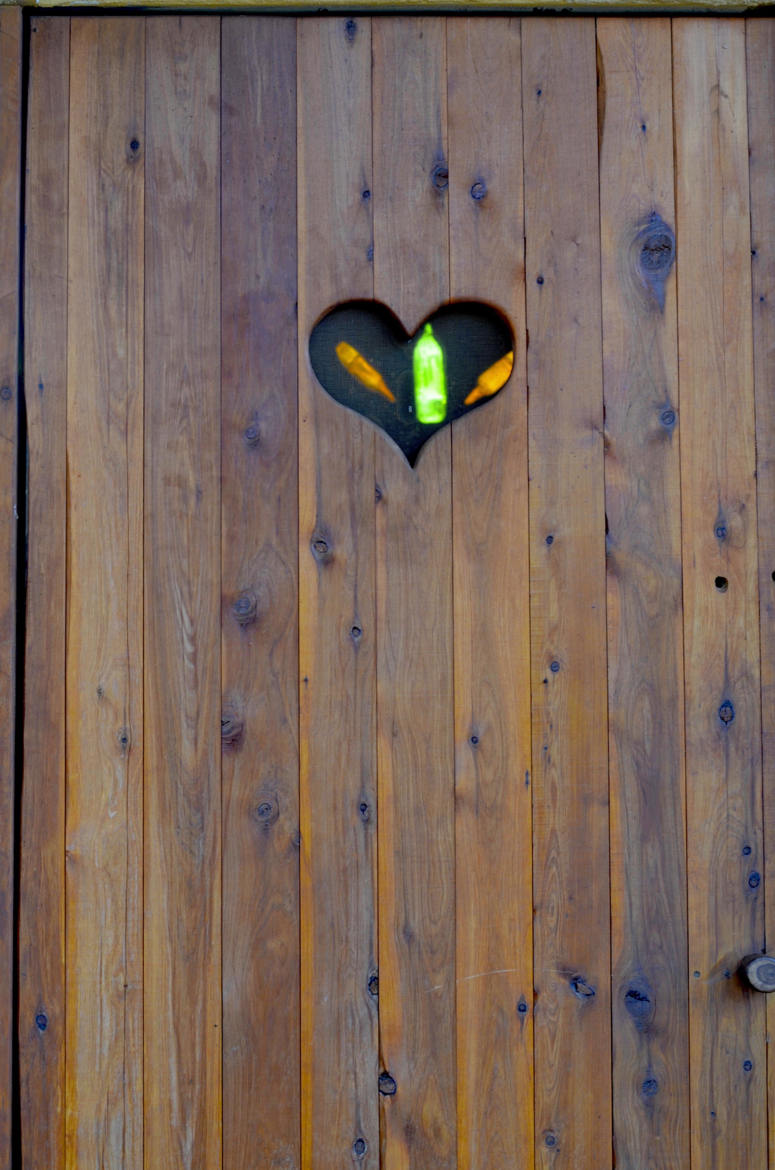 the detail ~ dunny door