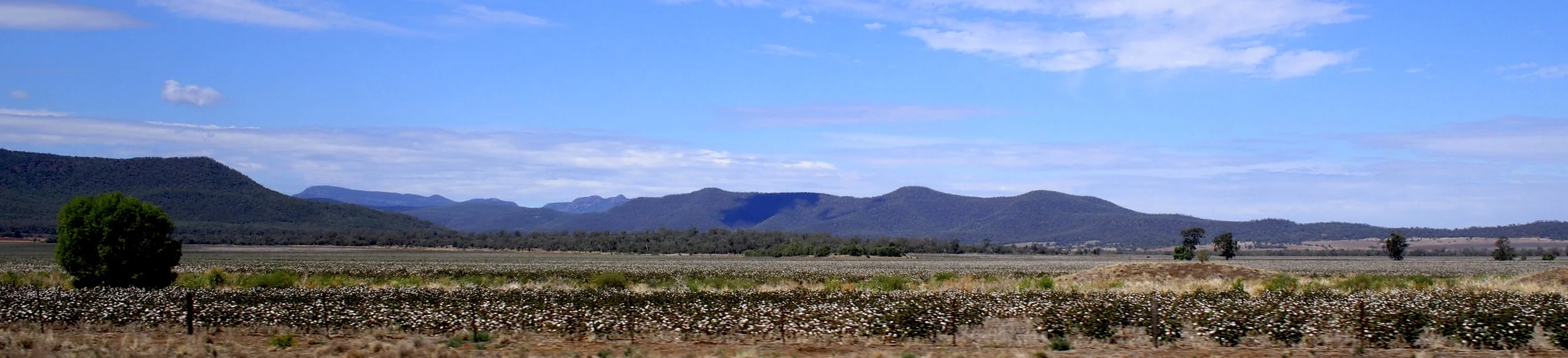 Kaputar National Park with cotton plantations