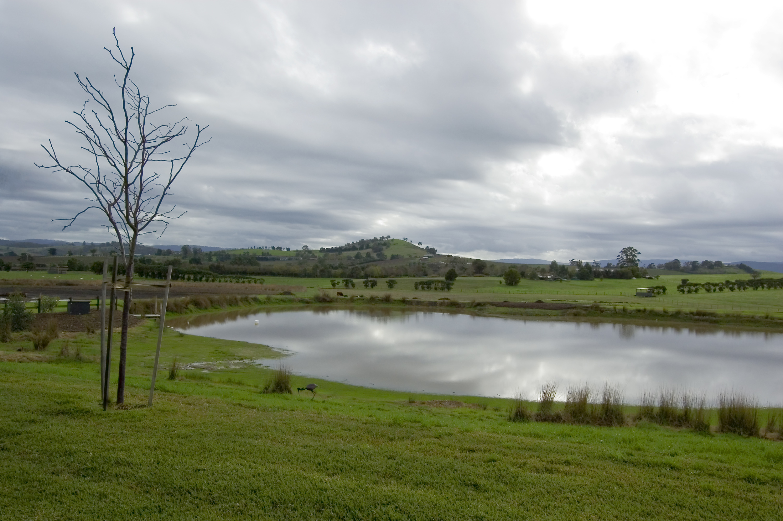 Lake View - Stillness by the lake