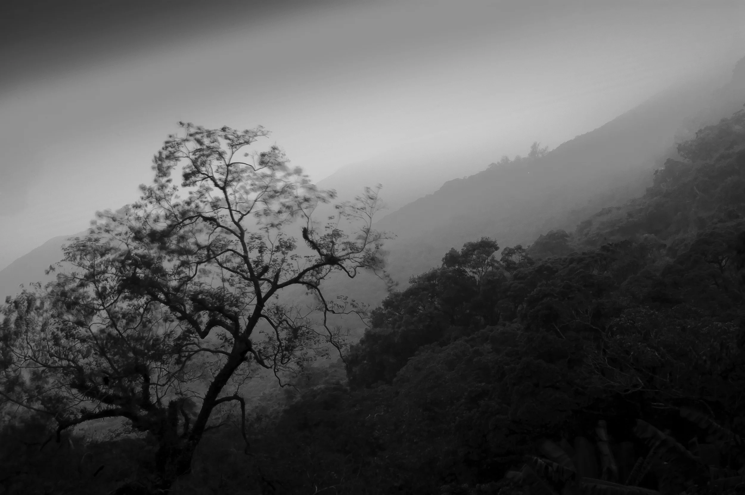 The Foggy Peak