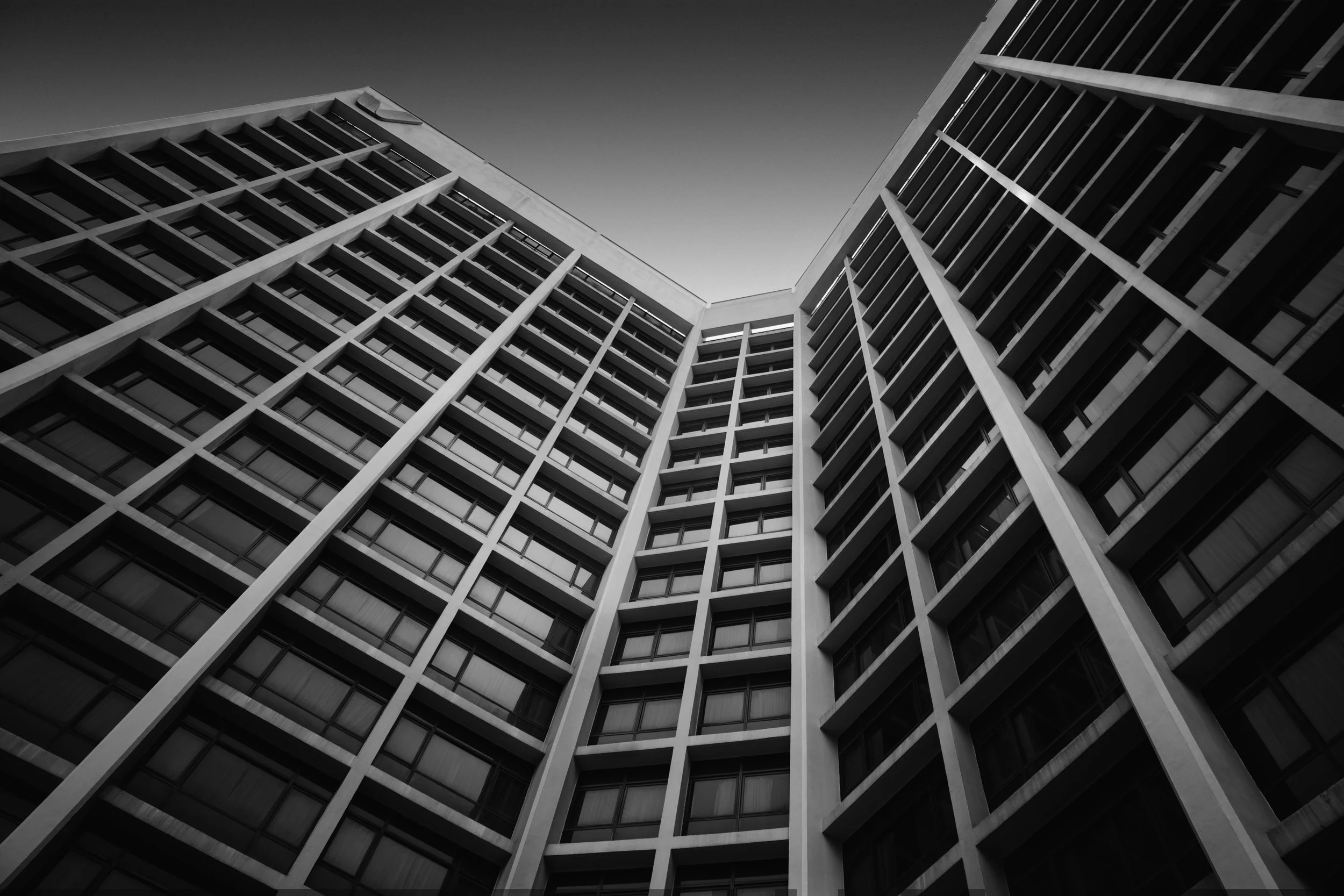 Ode to Lines 3