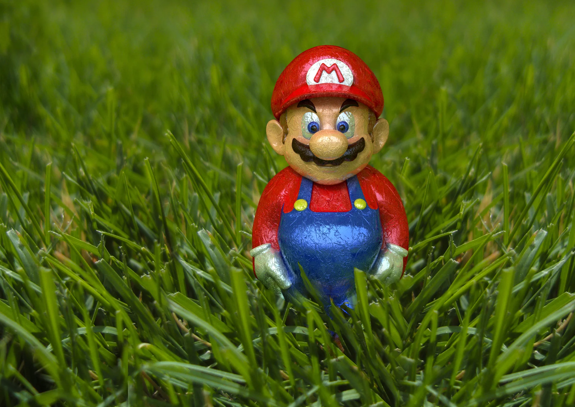 HMV_Easter_choccoMARIO in field_001.jpg