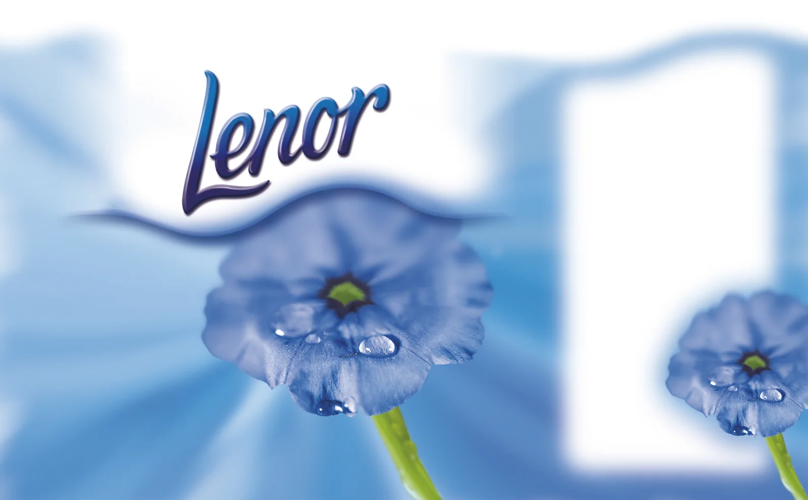 Retouching2 copy copy.jpg