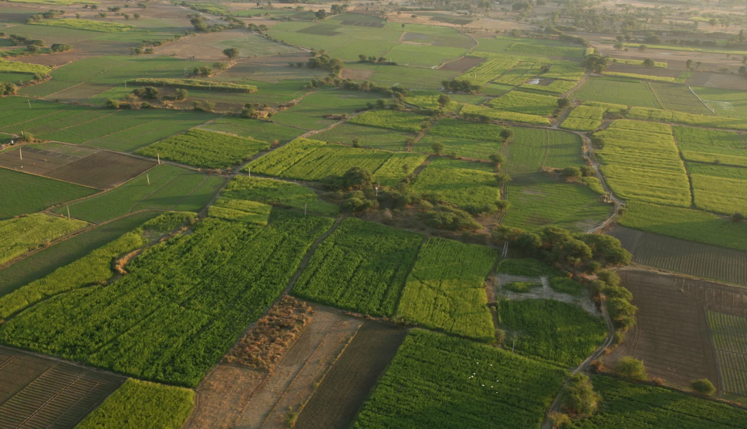 Rajasthan Tourism 064.jpg