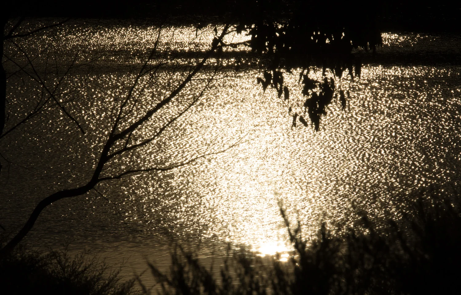 Dune Lakes Dusk-3.jpg