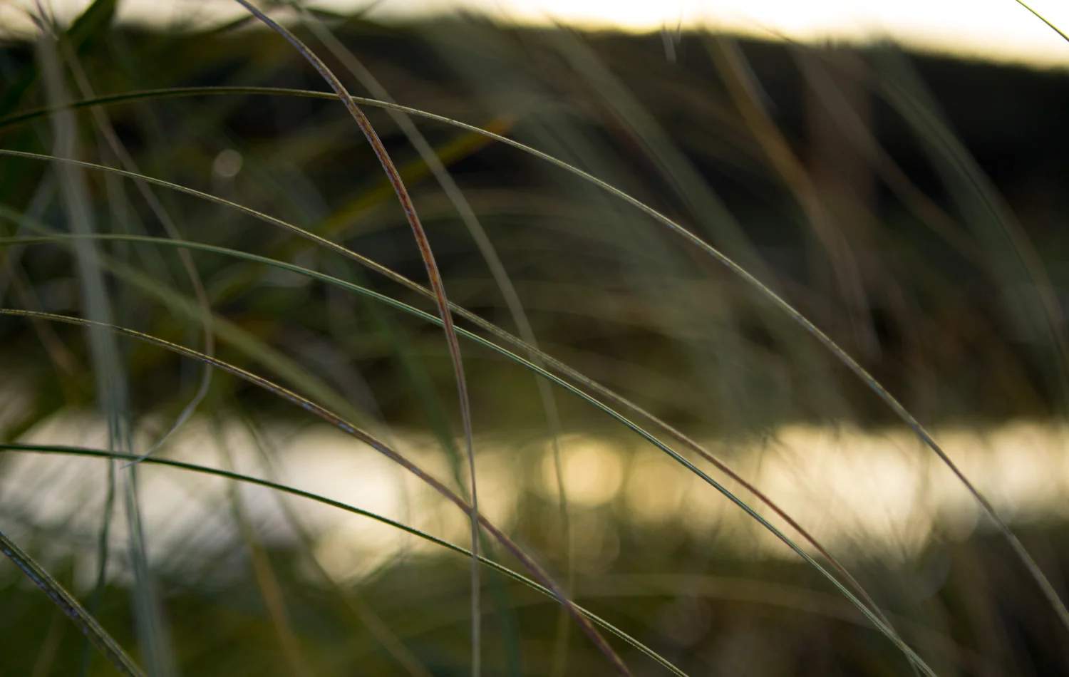 Dune Lakes Dusk-12.jpg