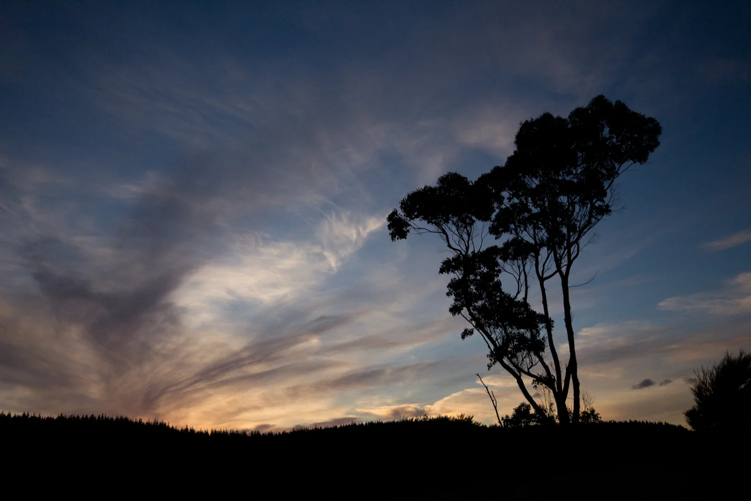 Dune Lakes Dusk-19.jpg