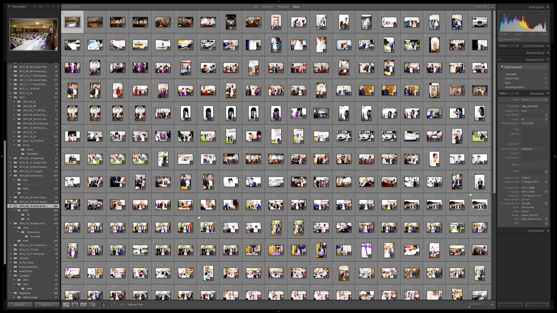 This is what 228 photographs in Lightroom looks like.