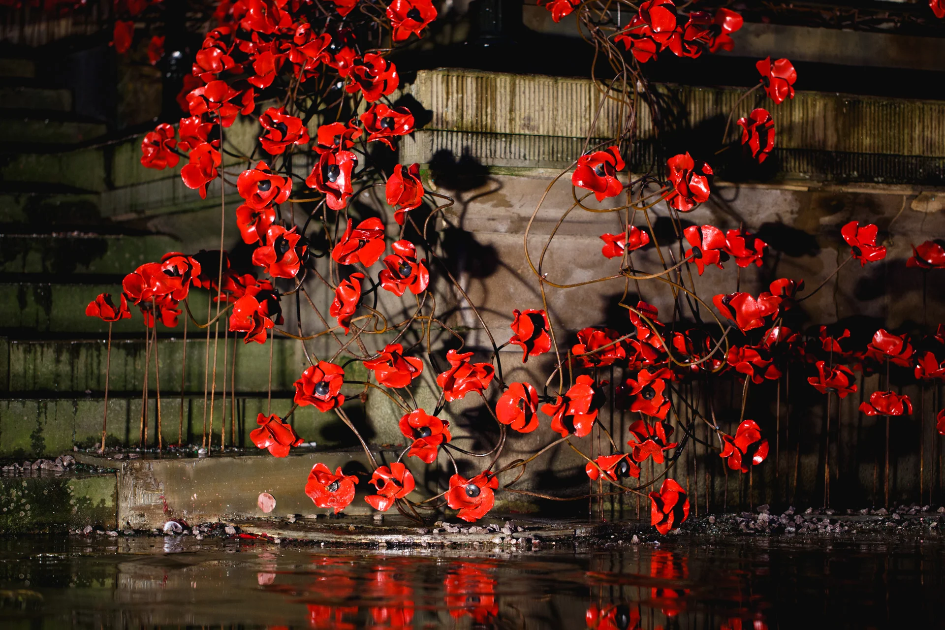 Weeping Window Paul Cummins Tom Piper Liverpool St.George's Hall Andrew Wilson Photography (14).jpg