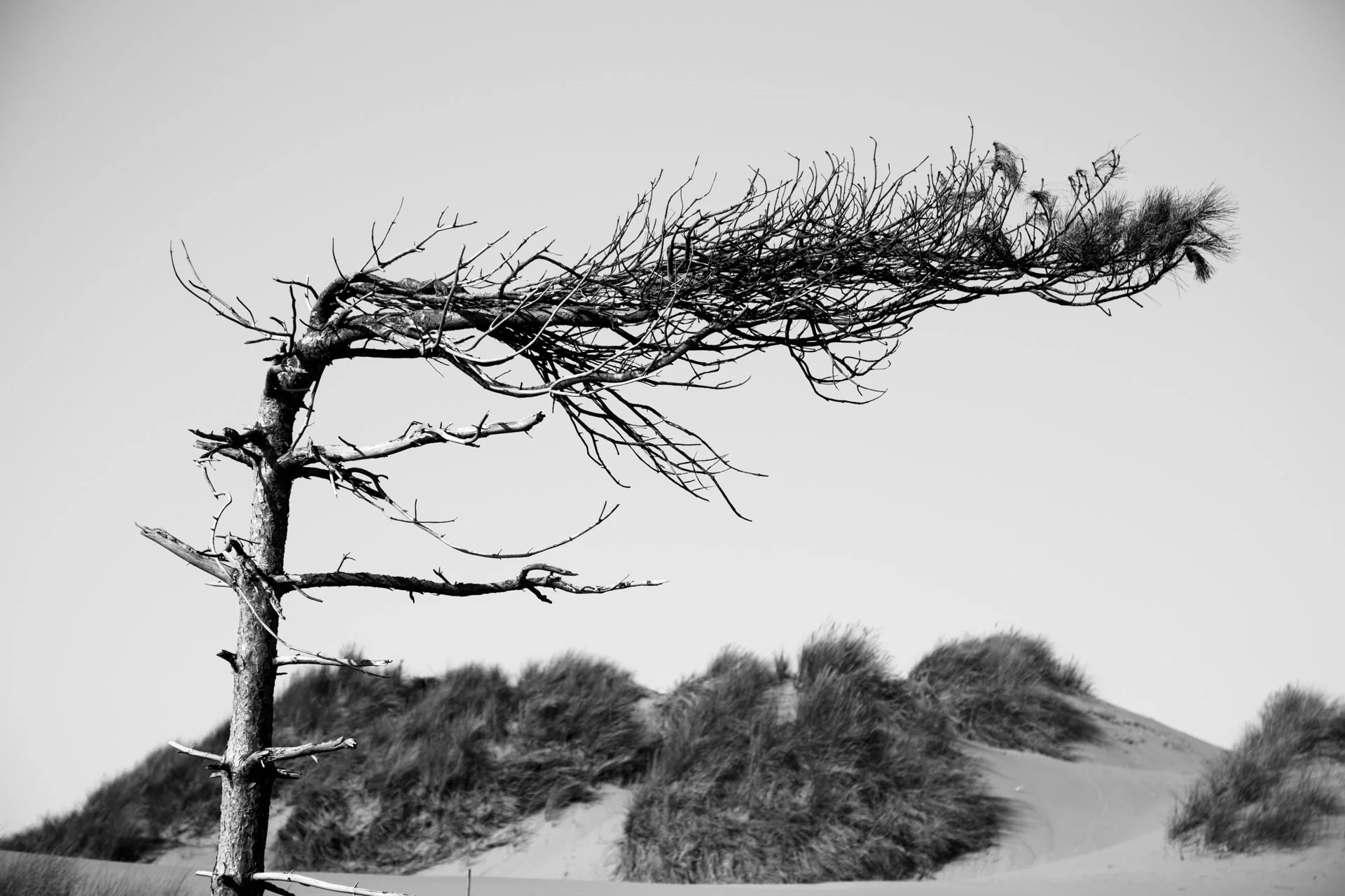 Andrew Wilson Photography Formby beach Liverpool (13).jpg