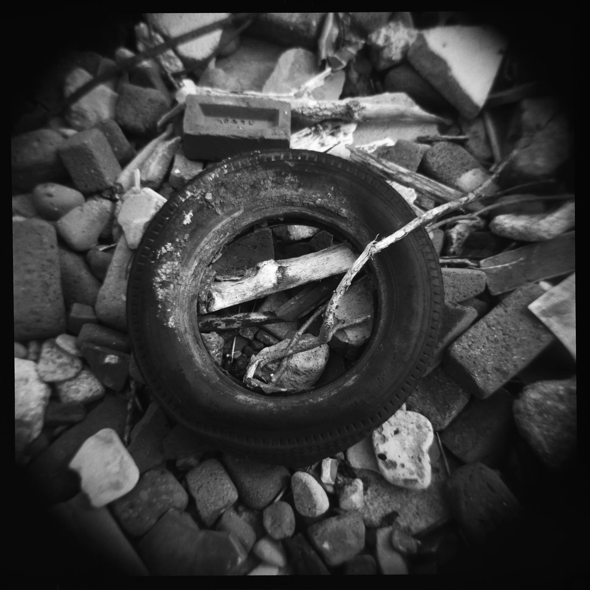 ...I photographed a number of tyres...