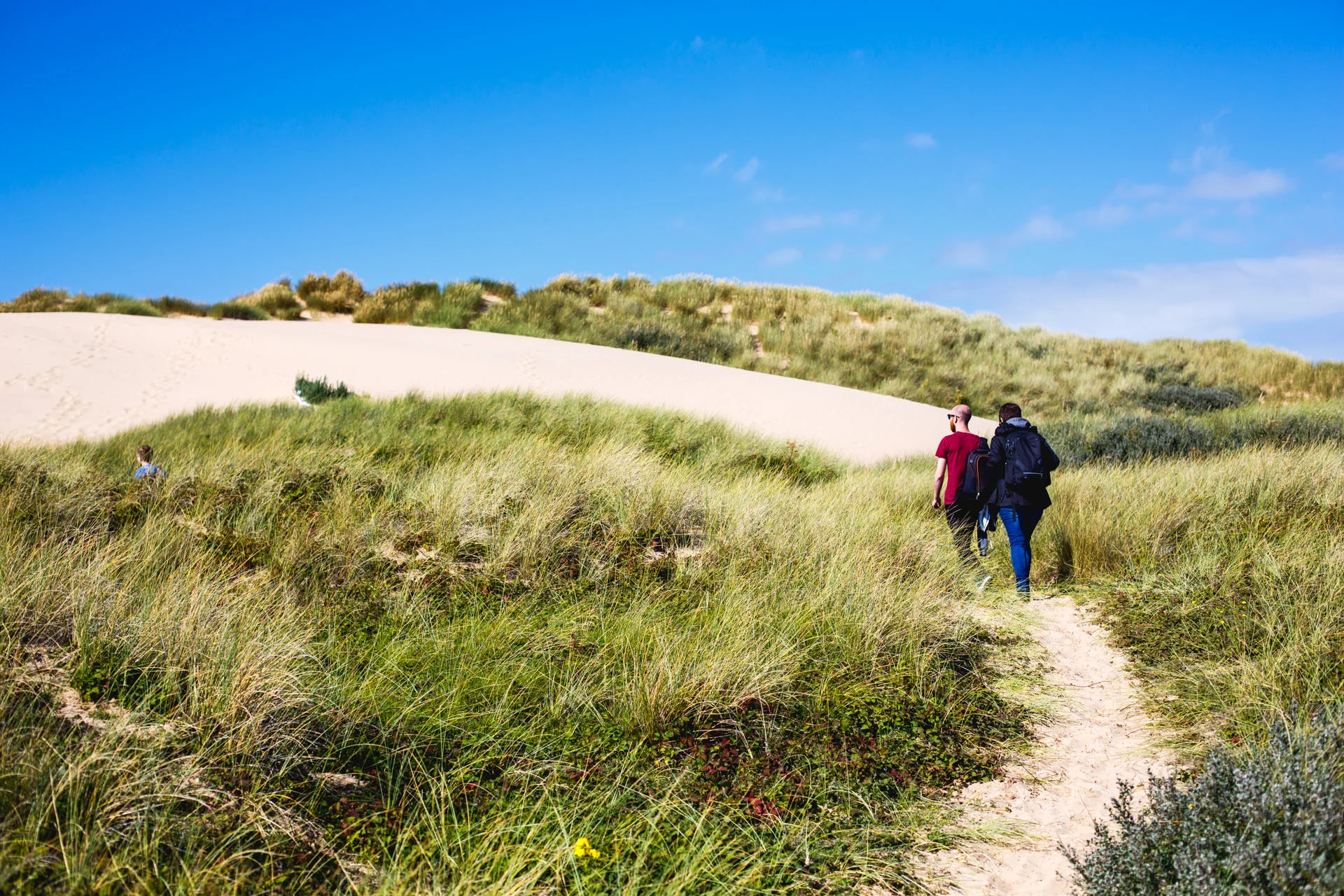 Crosby & Formby: Sun, Sea and Sandy Dunes — Andrew Wilson Photography
