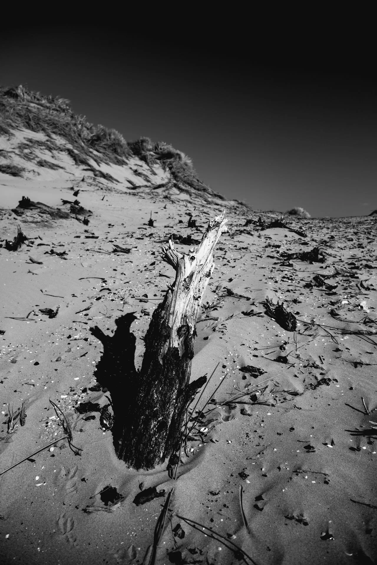 Andrew Wilson Photography Formby beach Liverpool (7).jpg