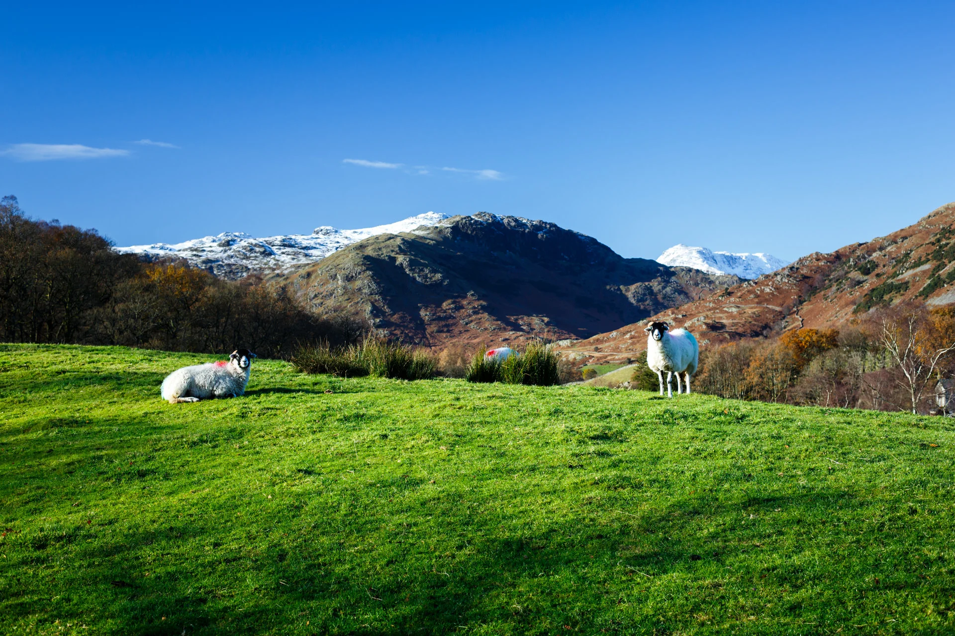 Looking across to the peaks of Little Langdale.