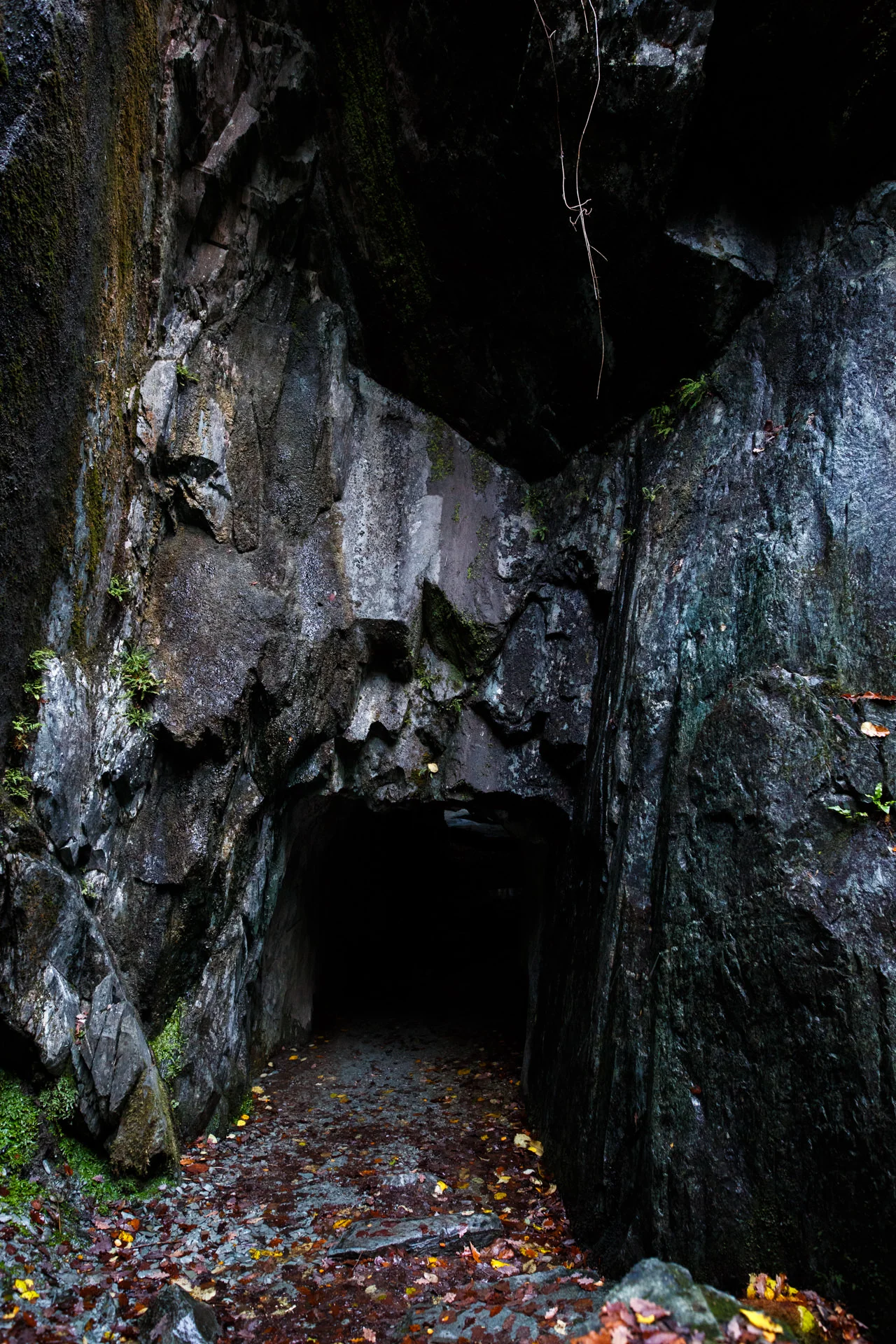 DV8A4955.jpg