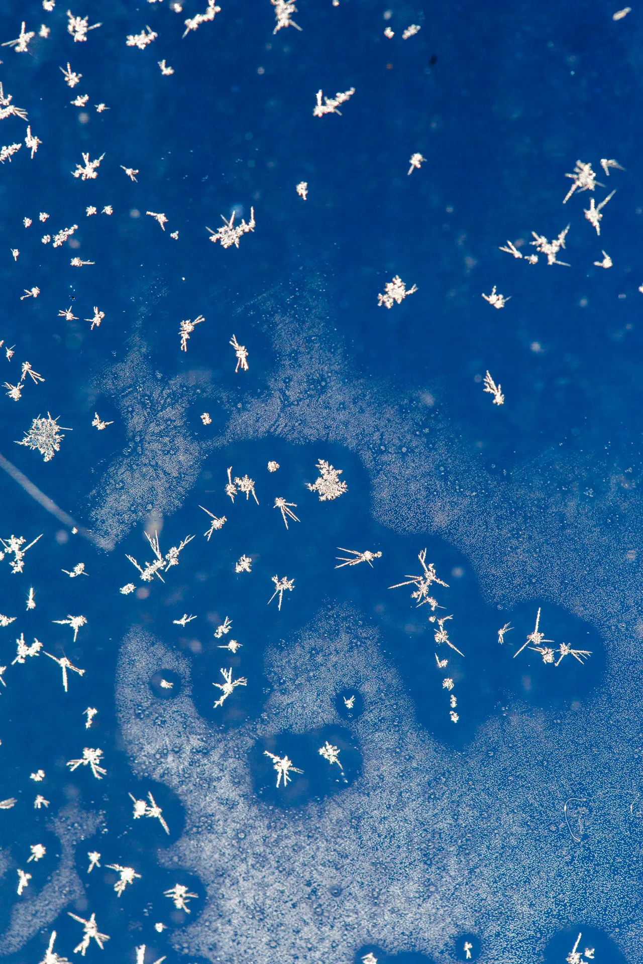 Tiny ice crystals on the outside of my flight window.