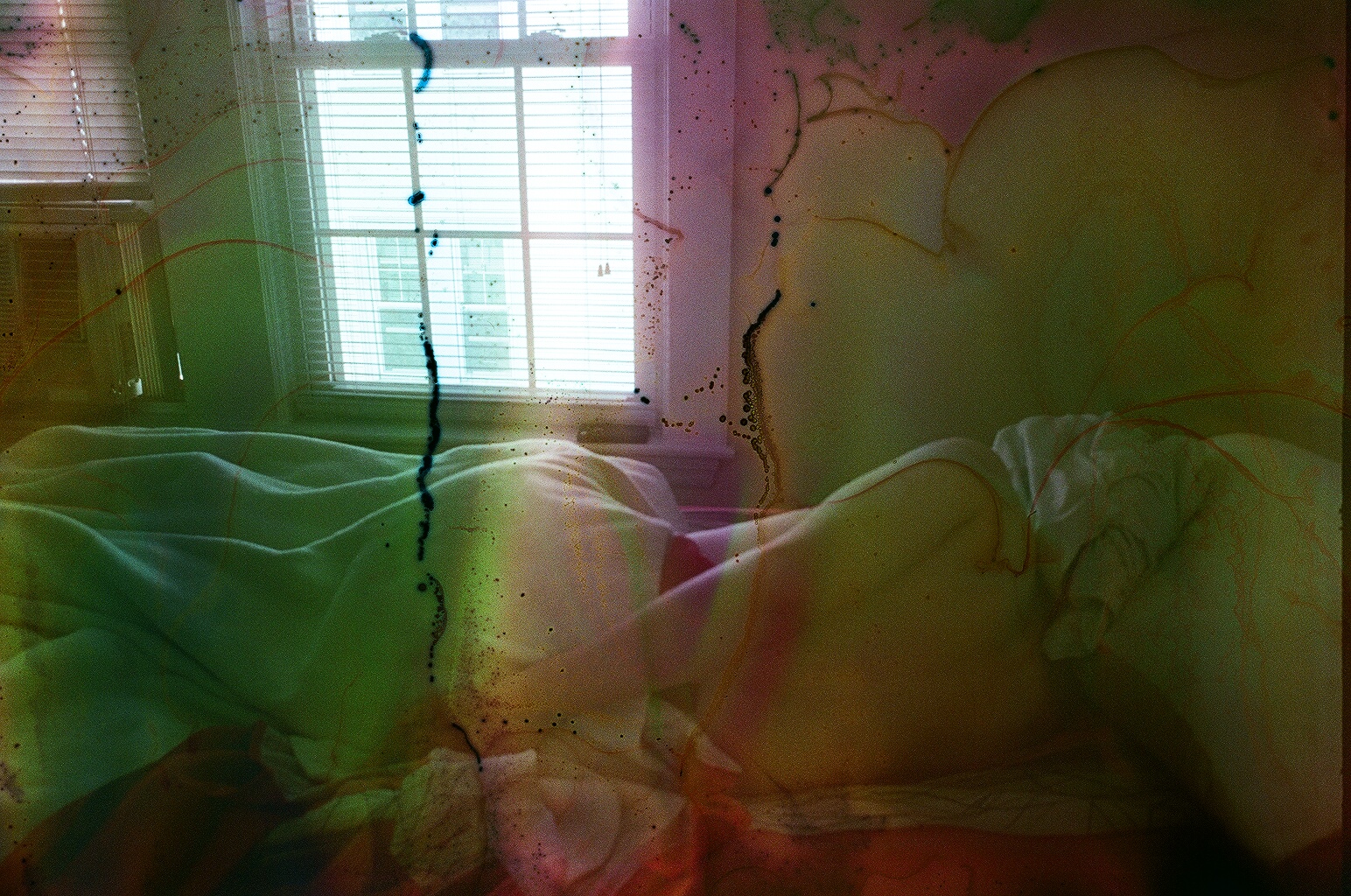 I took this photo of my boyfriend while we were traveling in Massachusetts. The film was soaked in lime and rosebuds before shooting. The light was coming in from the window in a beautiful way. I tend to shy away from taking photos of people and shooting indoors, which makes this photo unusual. 
