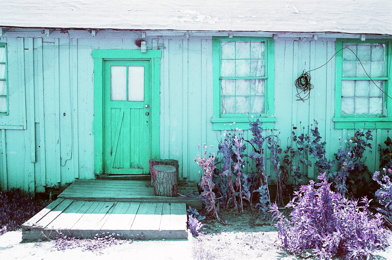 When I used Lomochrome purple film for the first time I was captivated. This photo was taken at Swanton Berry Farm, one of my favorite places. 