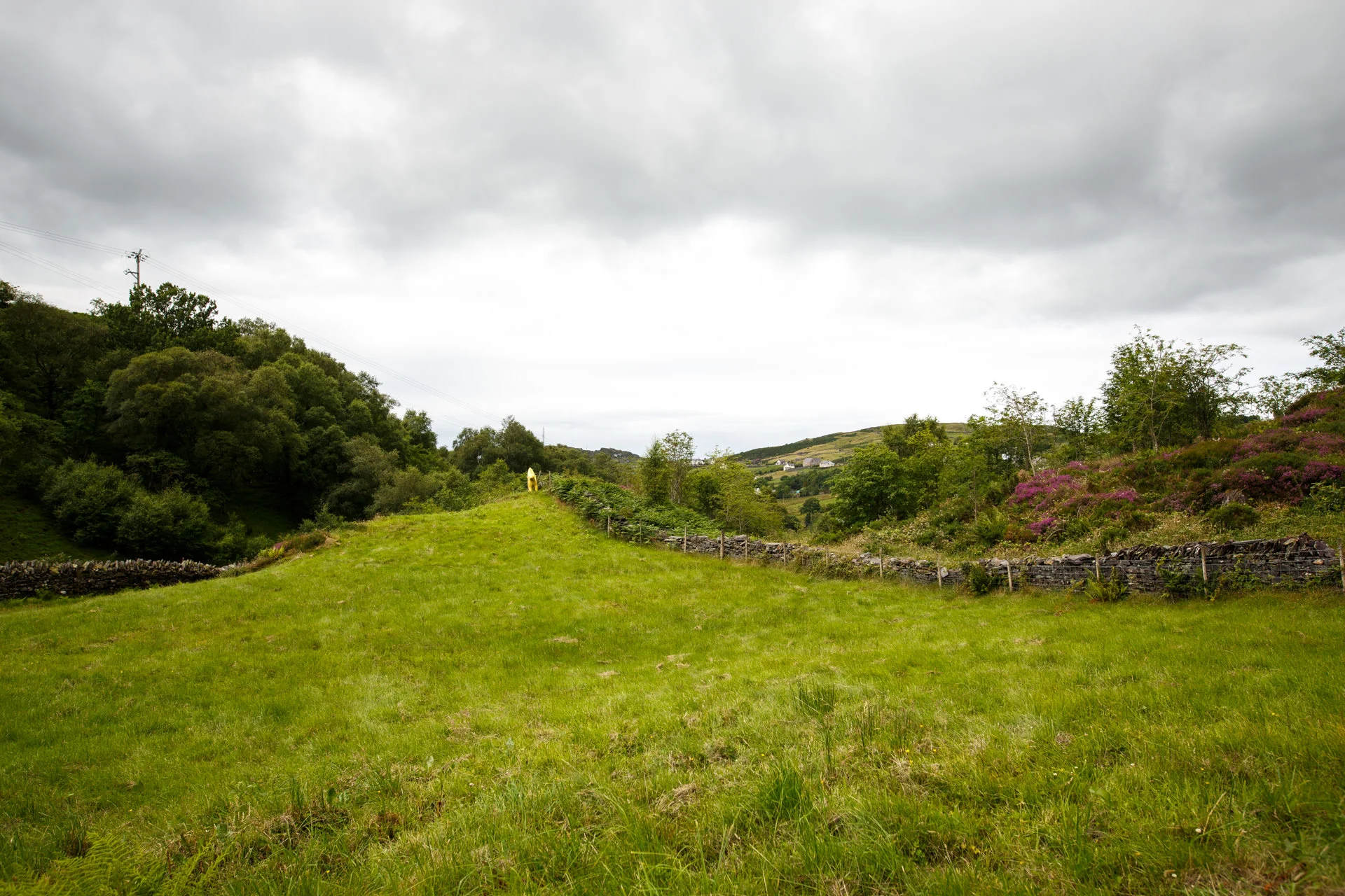 A Superlambana sits in a field in the view from our path.