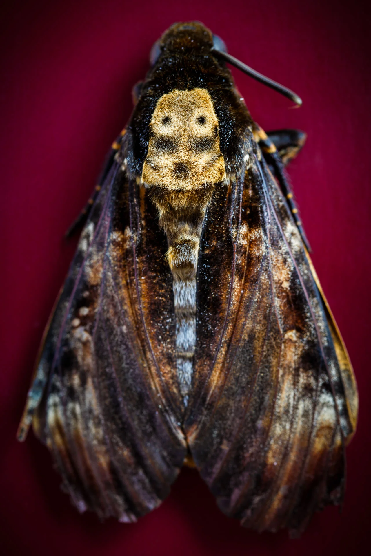 DV8A3290.jpg