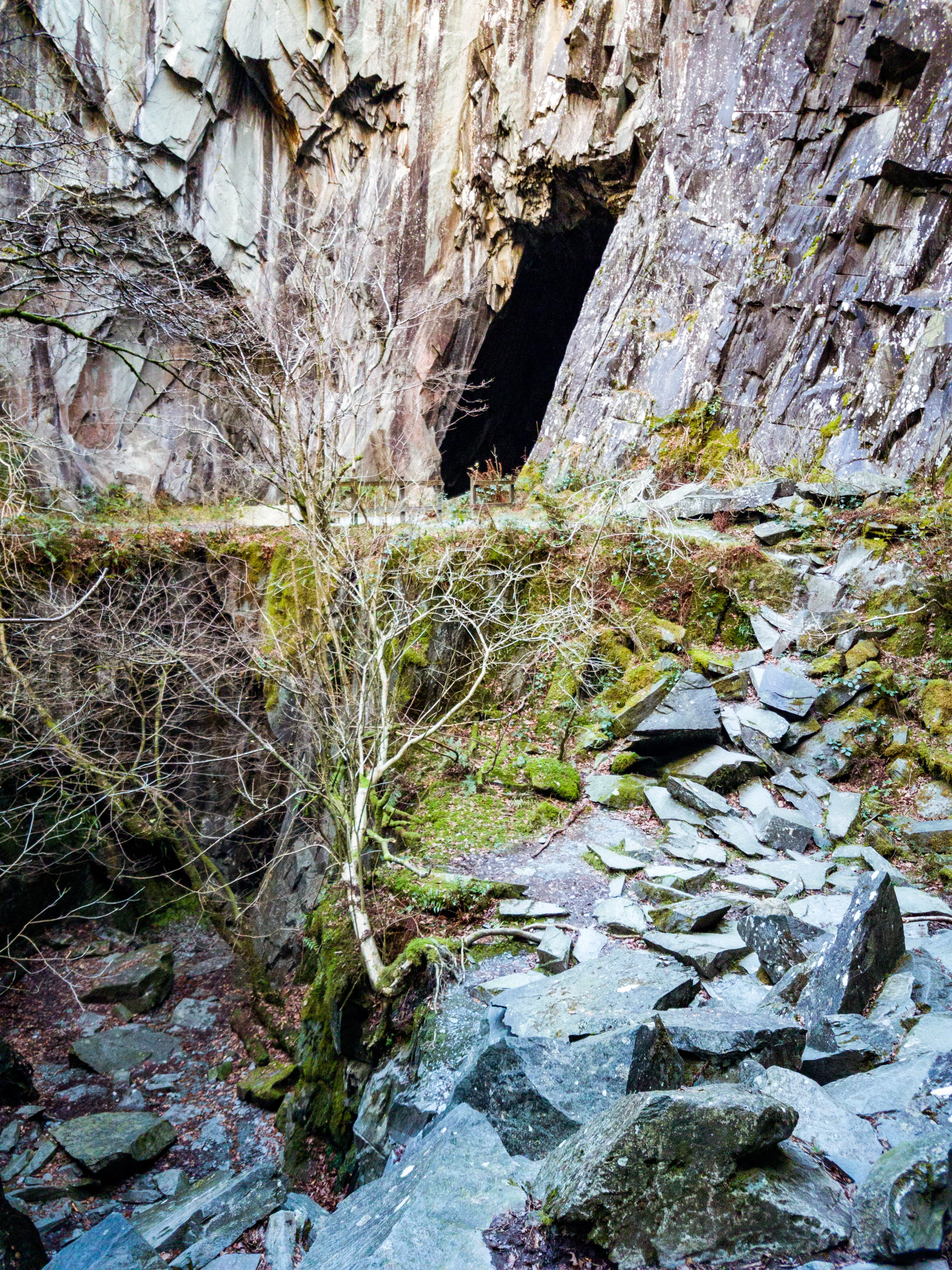 I returned to Cathedral Quarry to explore it more and take a few new photos of it.