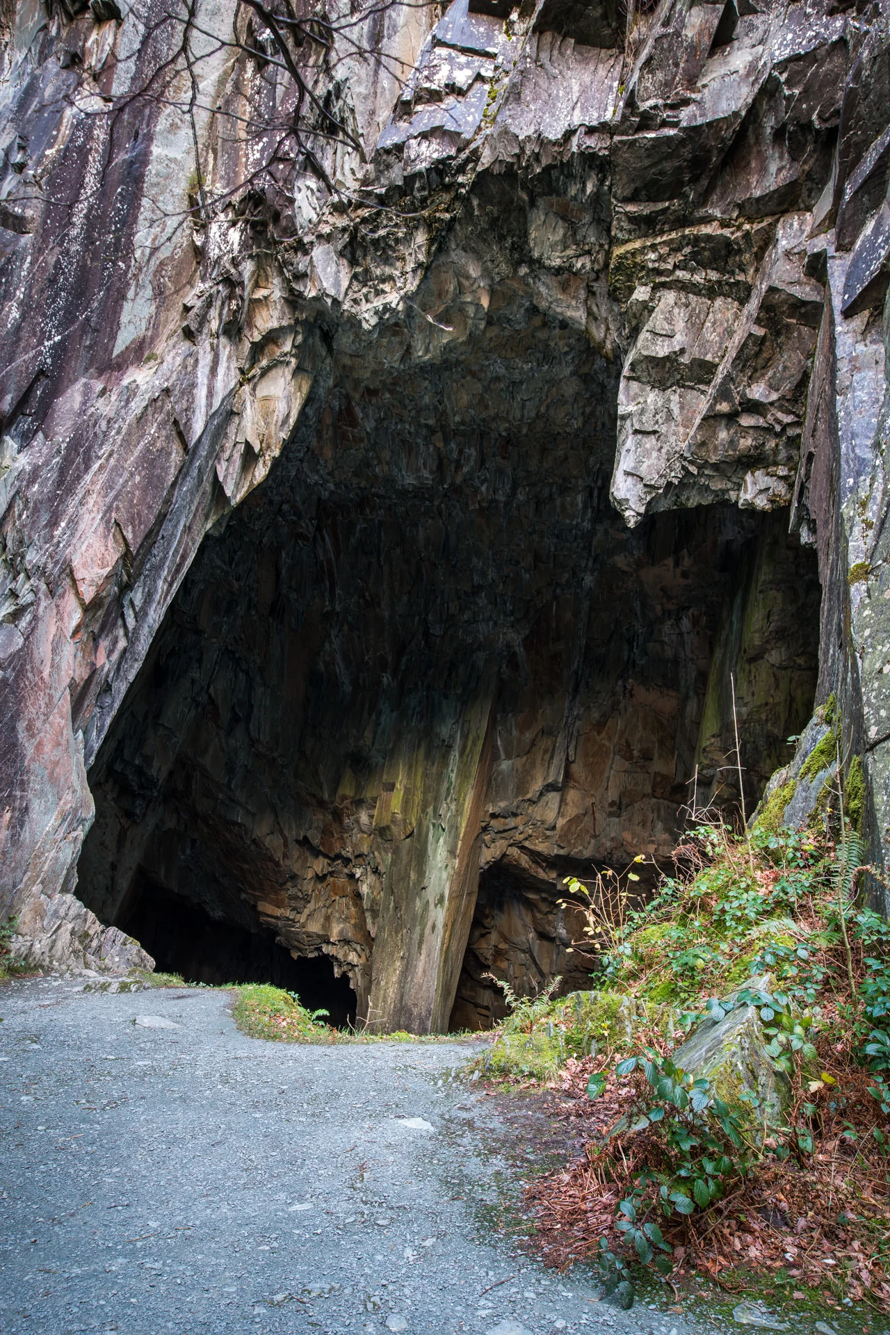 DV8A8100-HDR.jpg