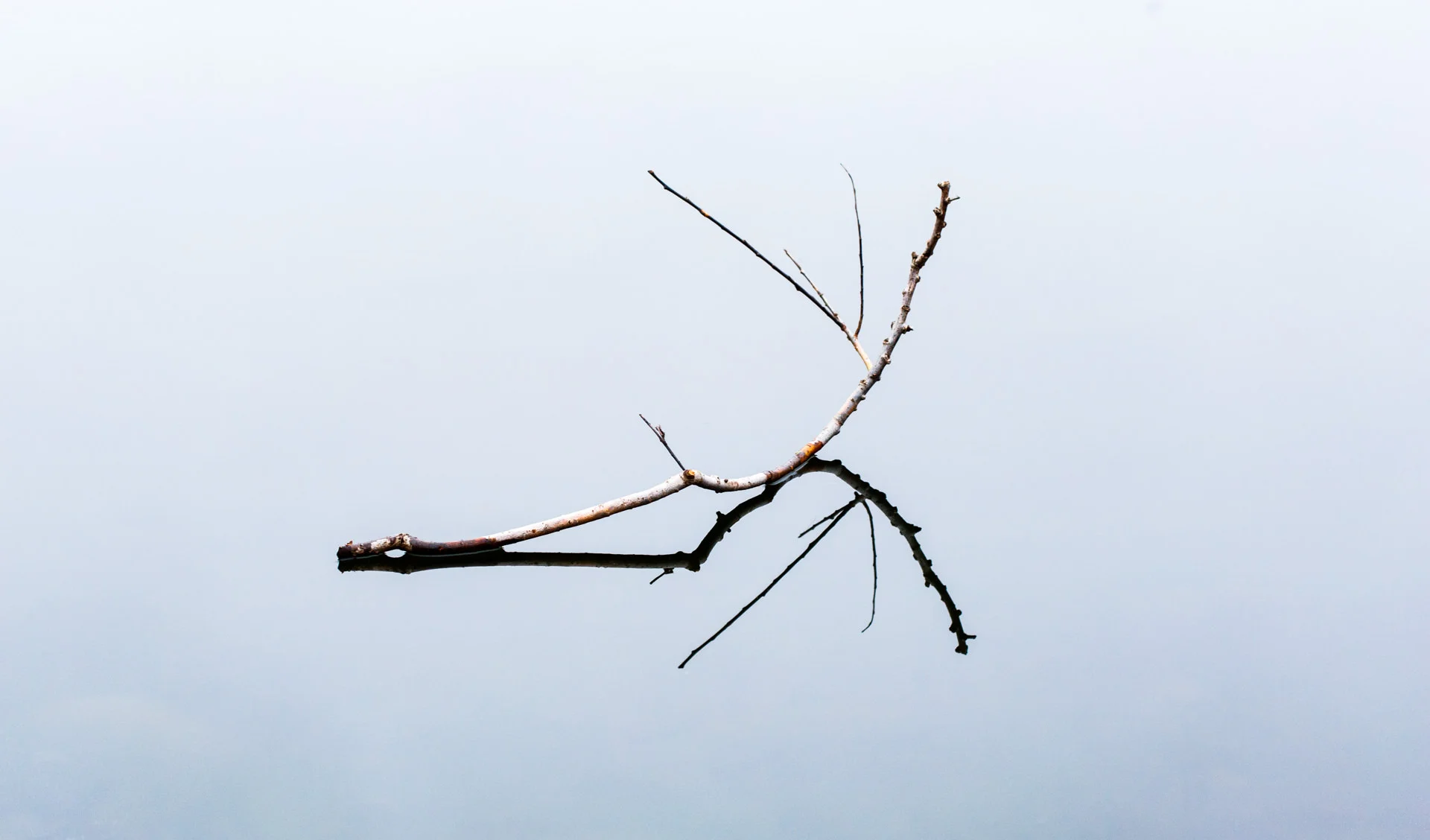 I had already eyed up a branch sitting on top of the lake's frozen surface, but it was out of reach for the me. Inspired, I threw this branch onto the surface. It took a few throws to get one in place - all the others slid further than I expected!