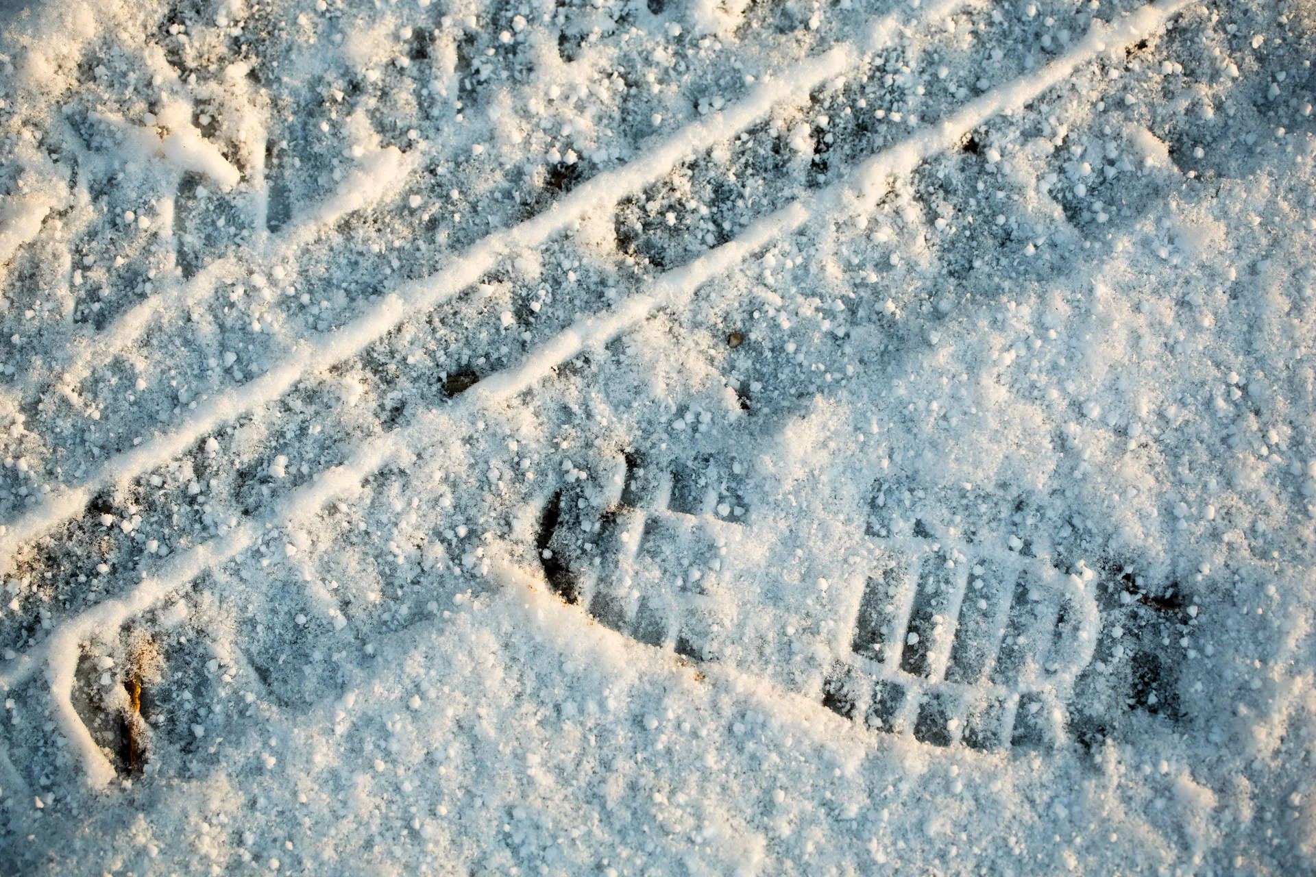 DV8A8451.jpg
