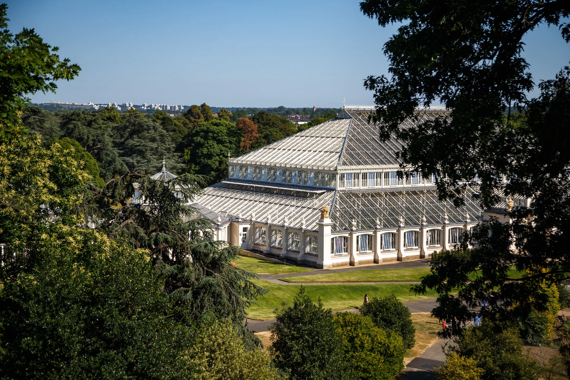 Looking towards the Temperate House.