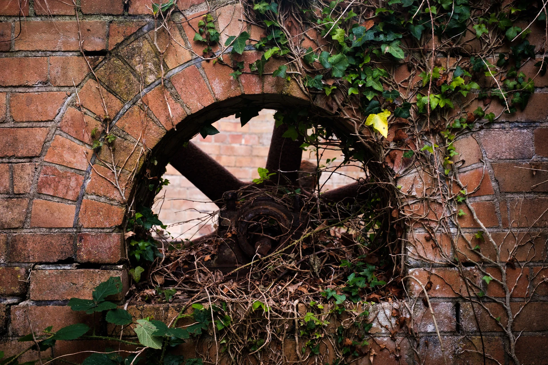 DSCF1228.jpg
