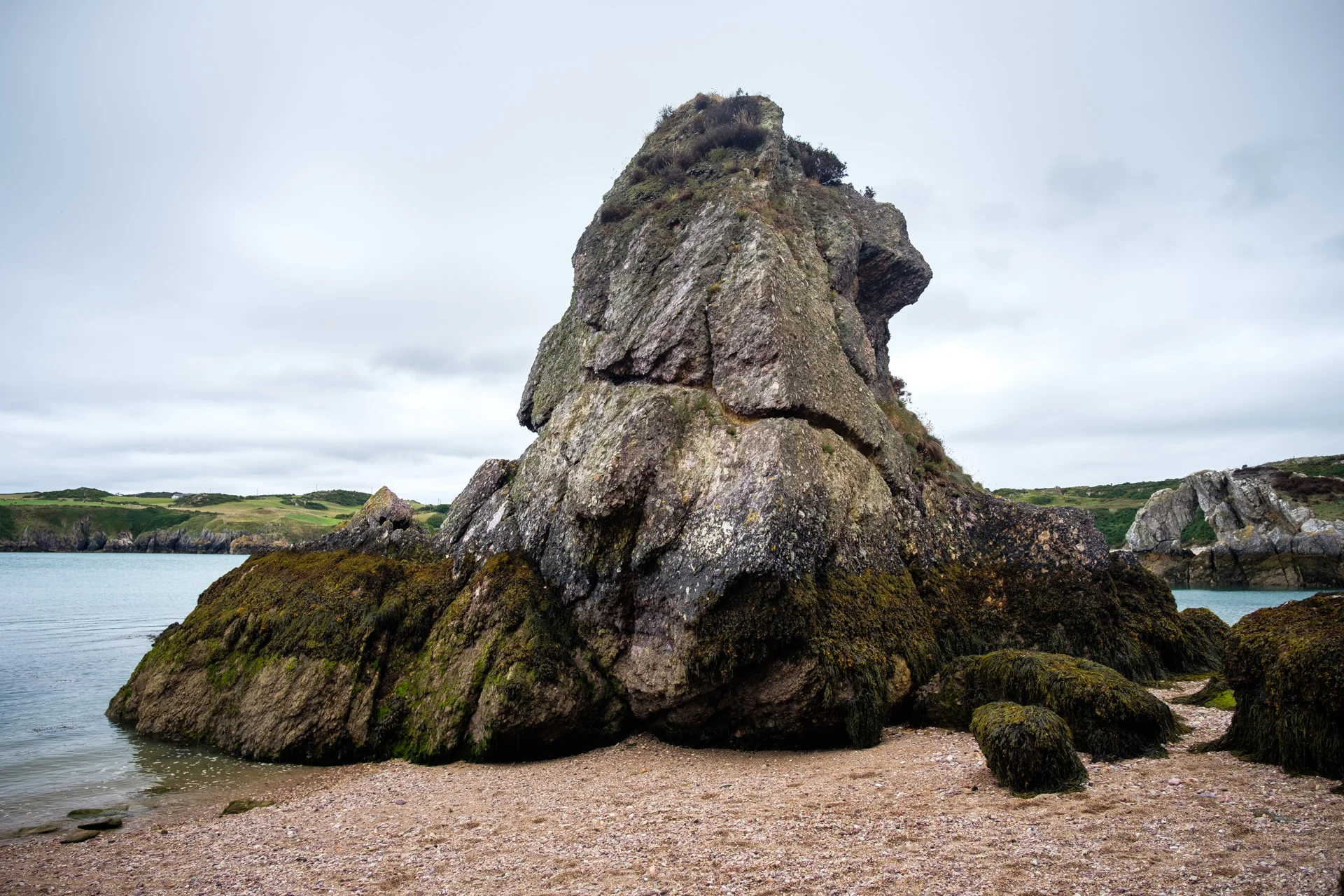 DSCF1219.jpg