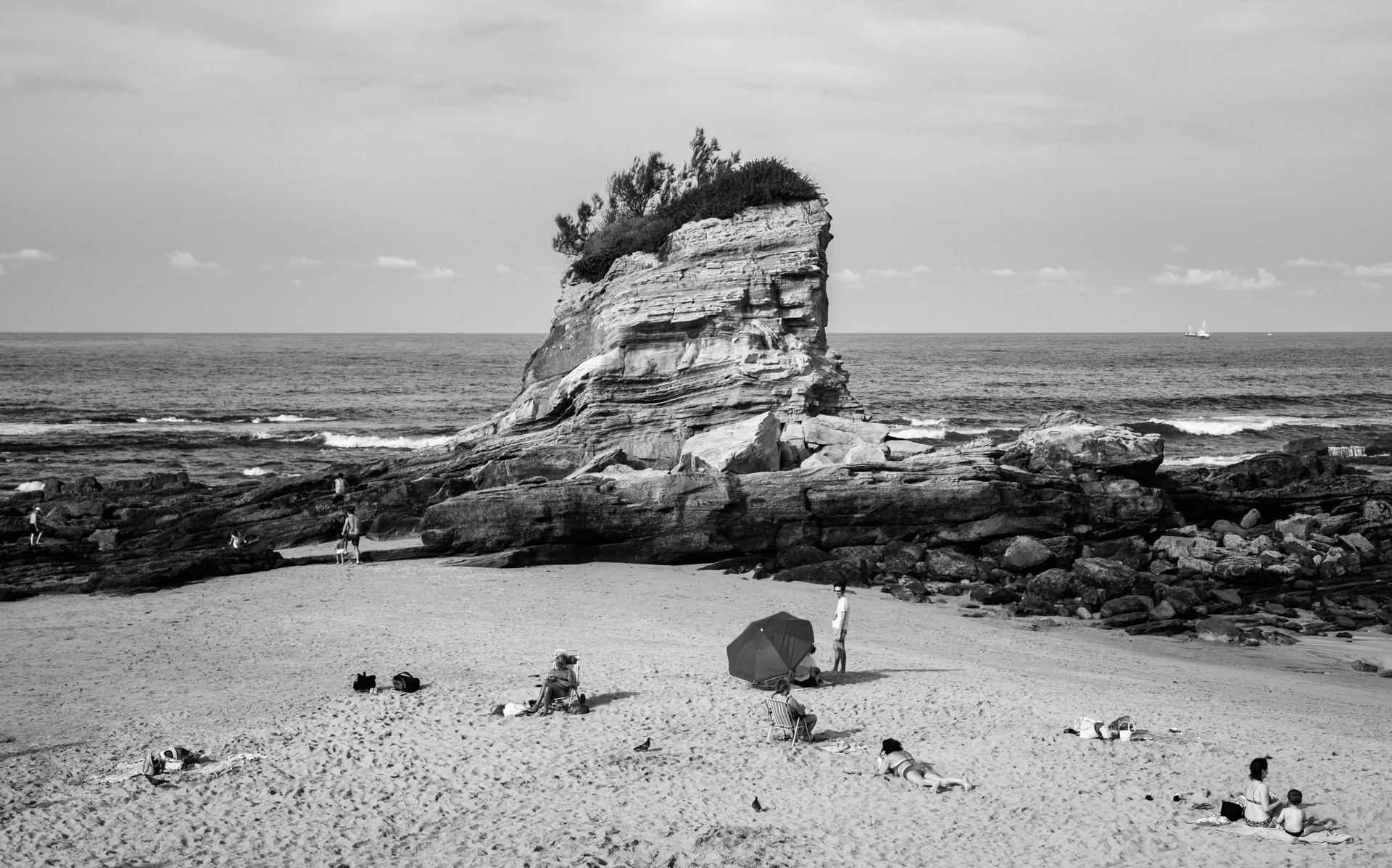DSCF1515.jpg