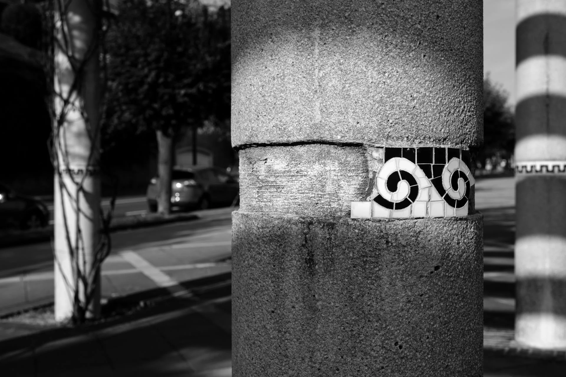 DSCF1539.jpg