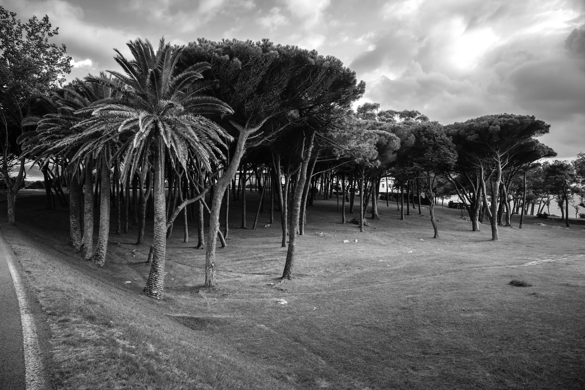 DSCF2574.jpg