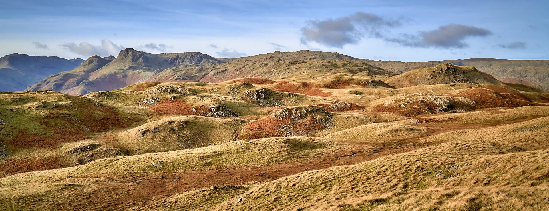 Up on high looking across rolling hills towards the Langdale Pikes.