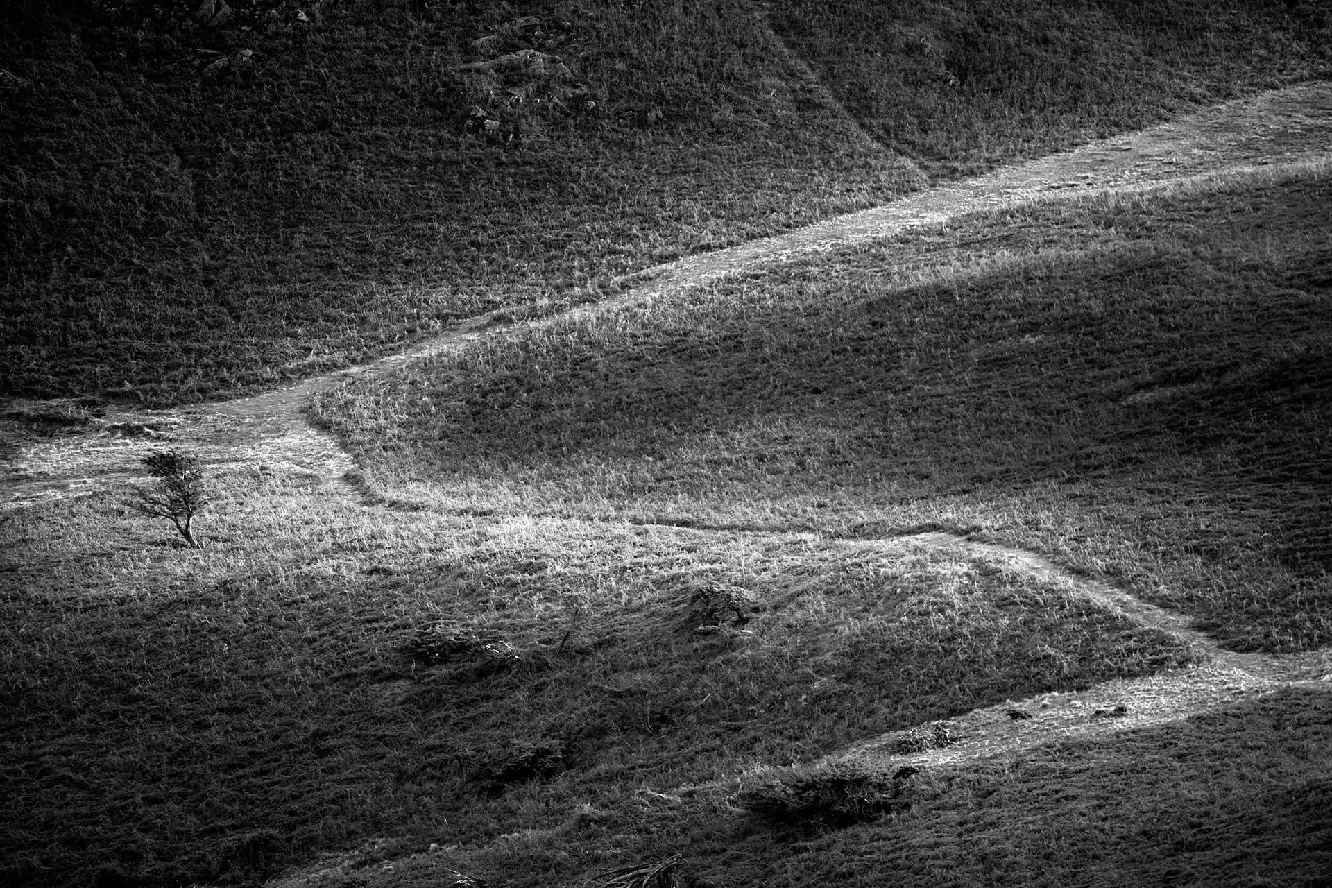 Up on high, looking down the other way at light skimming across mounds.