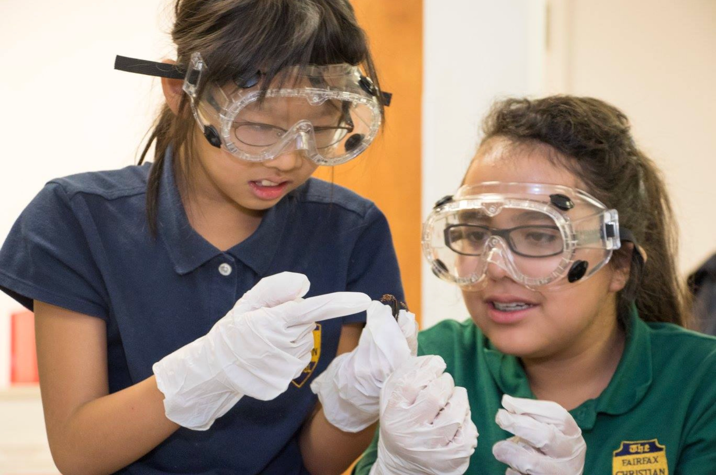 Two girls in safety goggles and gloves examining an object together in a classroom.