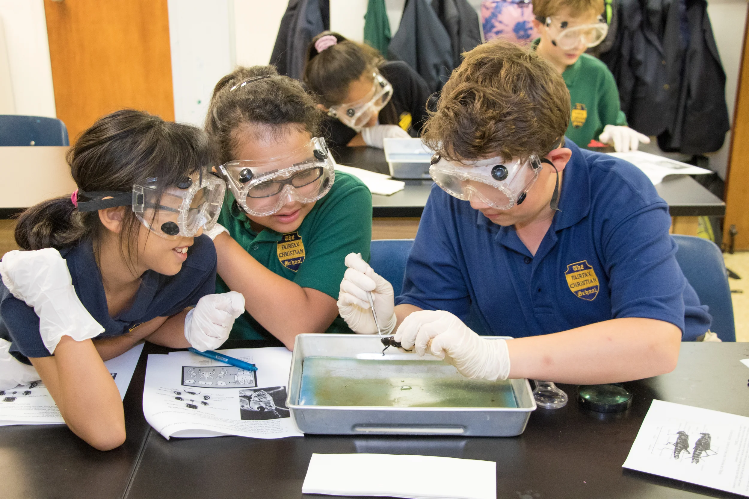 20150929-_44A7798.jpg