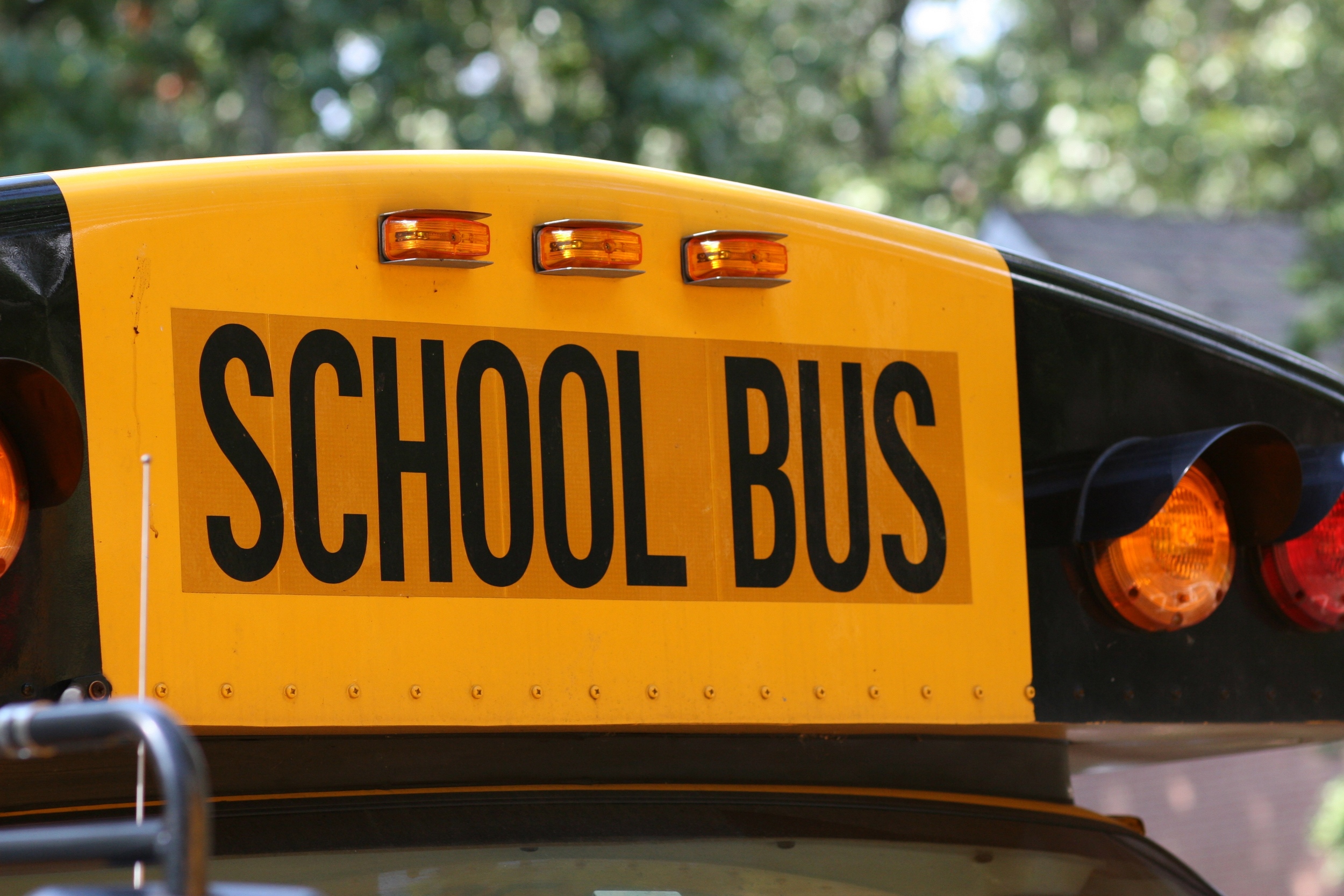 Bus+Top.jpg