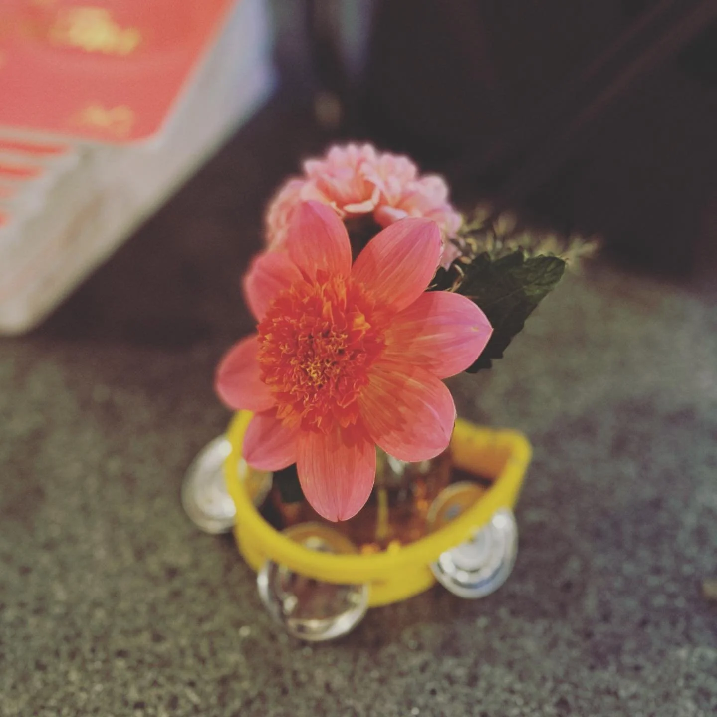 sticking with dahlias &amp; tambourines as life&rsquo;s motto for the foreseeable future &hellip; #keepswimming 

{also - there should definitely be a tambourine emoji &hellip; }