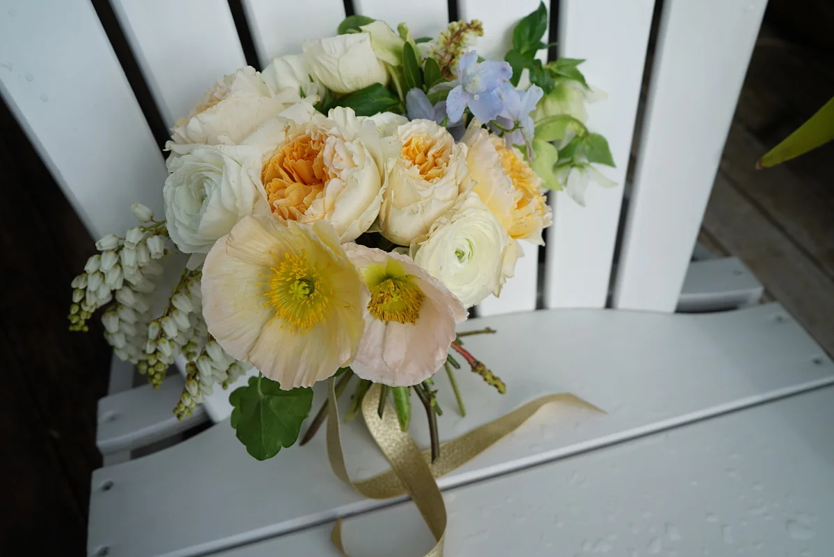 VIOLET &amp; HARRISON