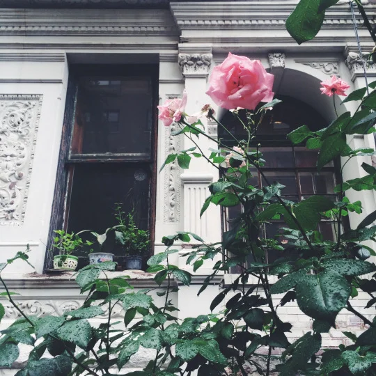 tumblr_nuld42oFSb1sgqr6xo3_1280.jpg